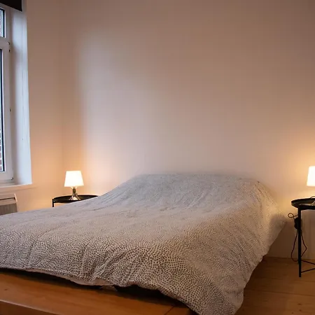 T3 Lumineux Au Coeur De Moulins Garage 2 Places Apartment Lille
